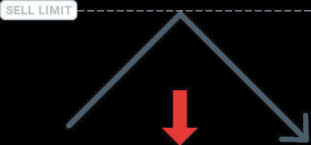 نحوه شروع تجارت SuperForex: راهنمای گام به گام برای مبتدیان